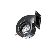 Randell Blower Assembly — Down Draft Motor, 115V | OEM - Style Replacement